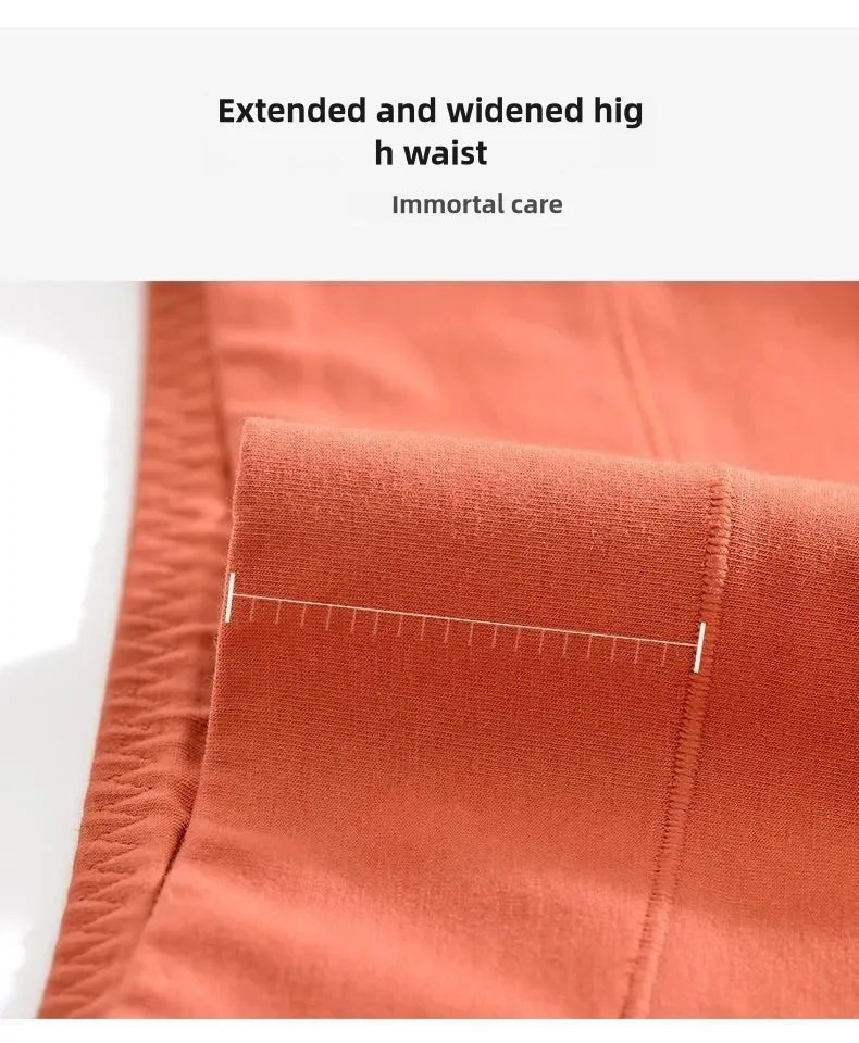 Panties for Menstruation Cotton Menstrual Panties High Waist Period Underwear Culotte Menstruelle Leak Proof Bragas Menstruales - badassmood